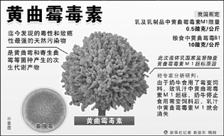 黃曲霉毒素